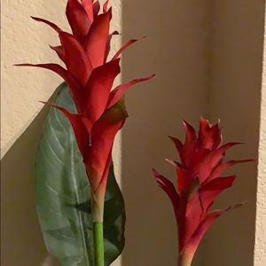 Meet your Posher, Estela